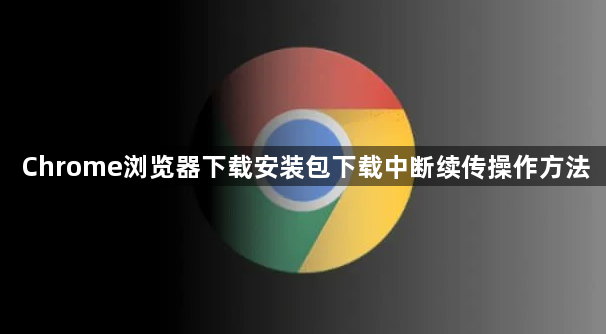Chrome浏览器下载安装包下载中断续传操作方法1
