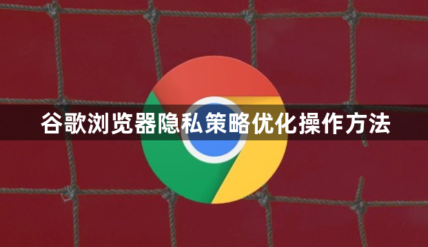 谷歌浏览器隐私策略优化操作方法1