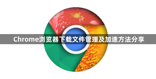 Chrome浏览器下载文件管理及加速方法分享1