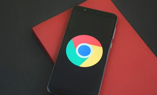 Chrome浏览器下载安装版本选择与提示