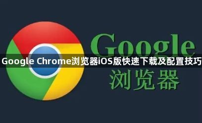 Google Chrome浏览器iOS版快速下载及配置技巧1