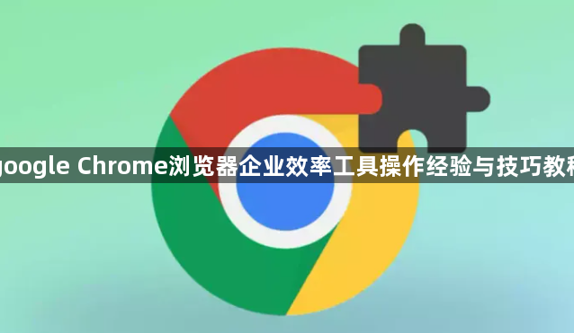 google Chrome浏览器企业效率工具操作经验与技巧教程1
