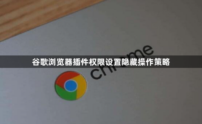 谷歌浏览器插件权限设置隐藏操作策略1