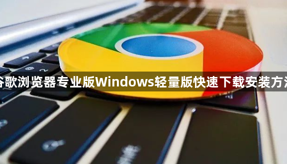 谷歌浏览器专业版Windows轻量版快速下载安装方法1