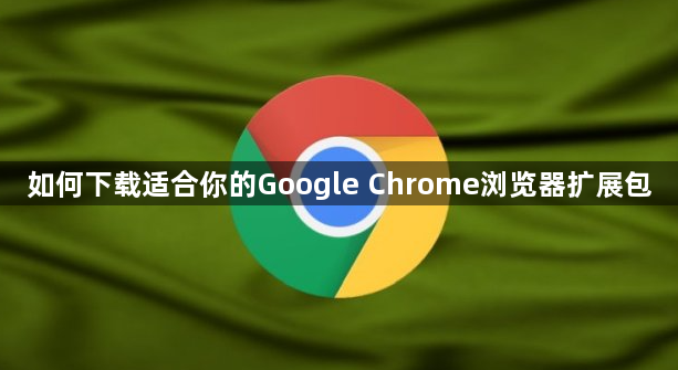 如何下载适合你的Google Chrome浏览器扩展包1
