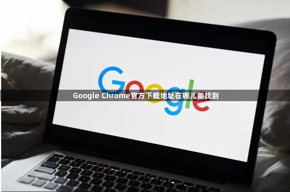 Google Chrome官方下载地址在哪儿能找到1
