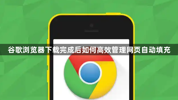 谷歌浏览器下载完成后如何高效管理网页自动填充1