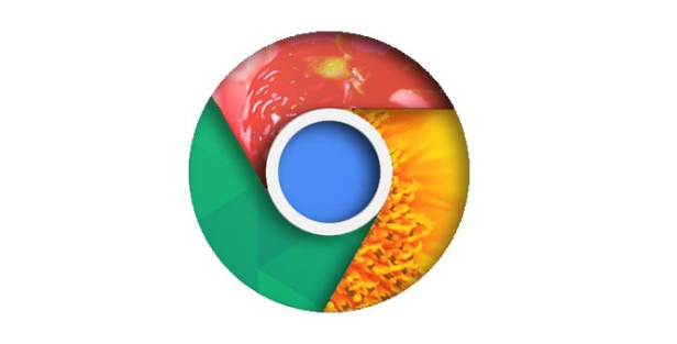 如何使用Google Chrome浏览器下载安装电子书阅读器